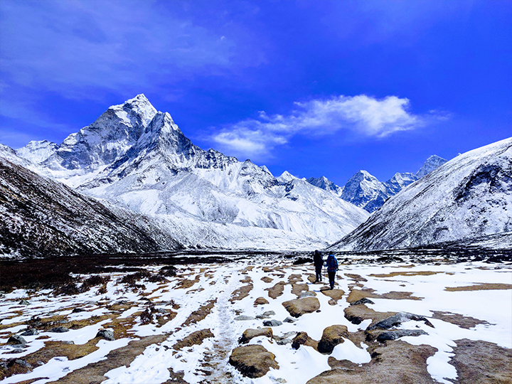 5d5bca046bda12823fc3e80d5cff4abd